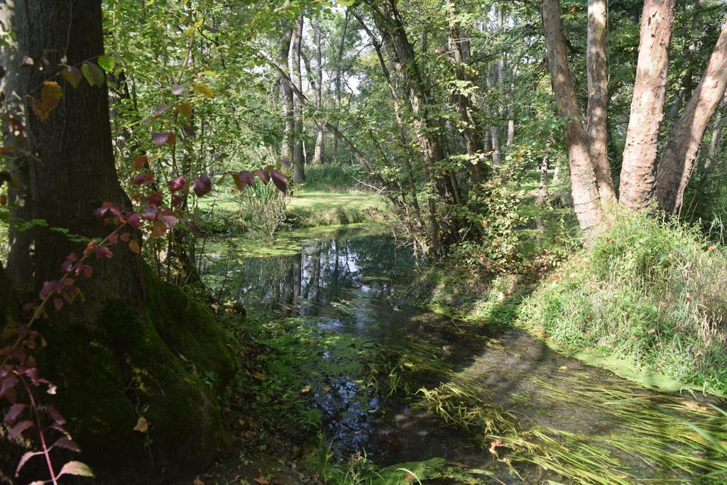 Da Gastone Villa Rivignano Exteriör bild