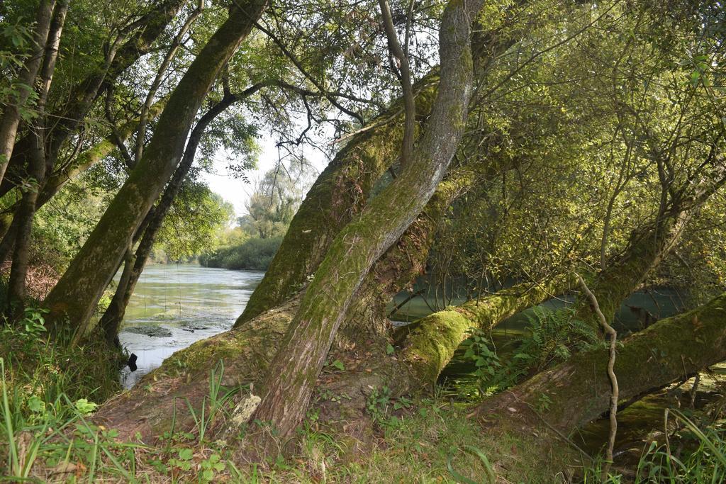 Da Gastone Villa Rivignano Exteriör bild