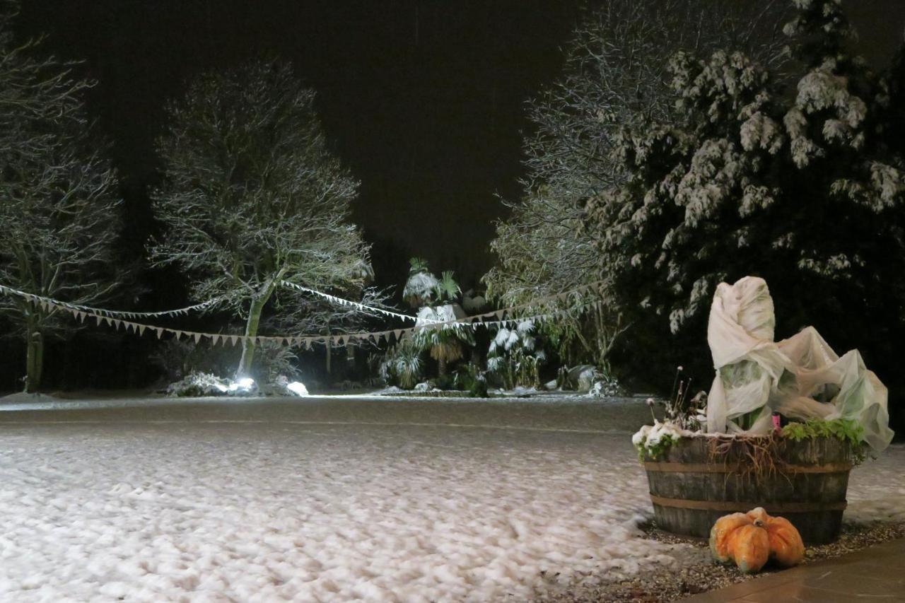 Da Gastone Villa Rivignano Exteriör bild